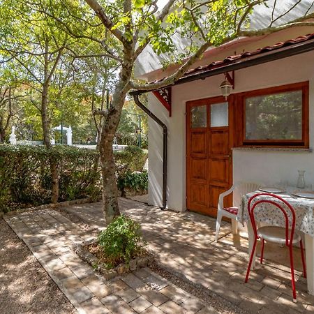 Pet Friendly Apartment In Pinezici With Wifi Εξωτερικό φωτογραφία